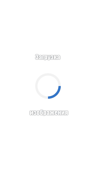 Мамаева Мадина Исаевна.